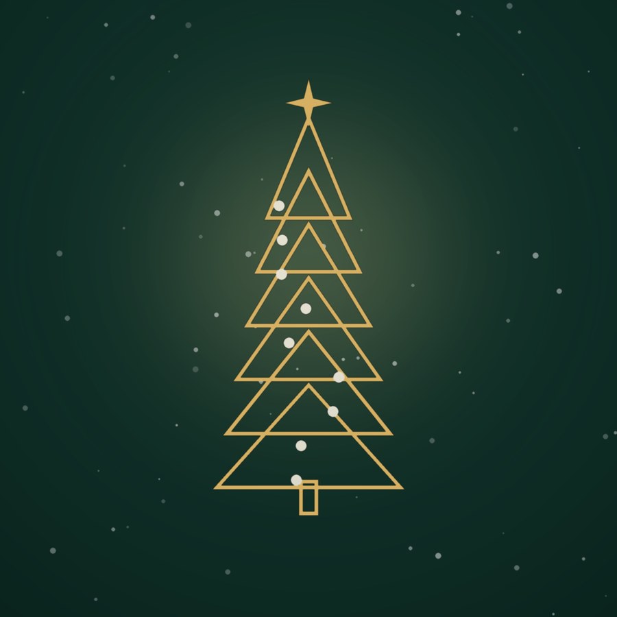 Slim Pencil Tree 6ft